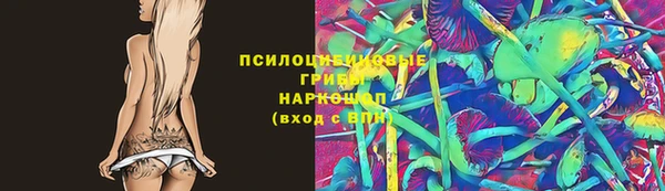 прущие крисы Белоозёрский