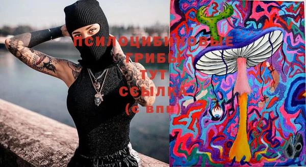 прущие крисы Белоозёрский