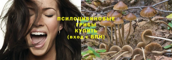прущие крисы Белоозёрский