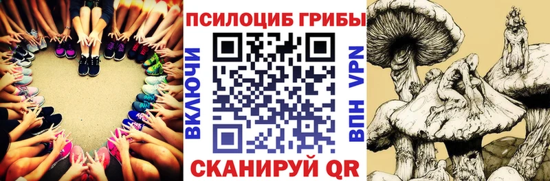 Псилоцибиновые грибы мицелий  Гай 